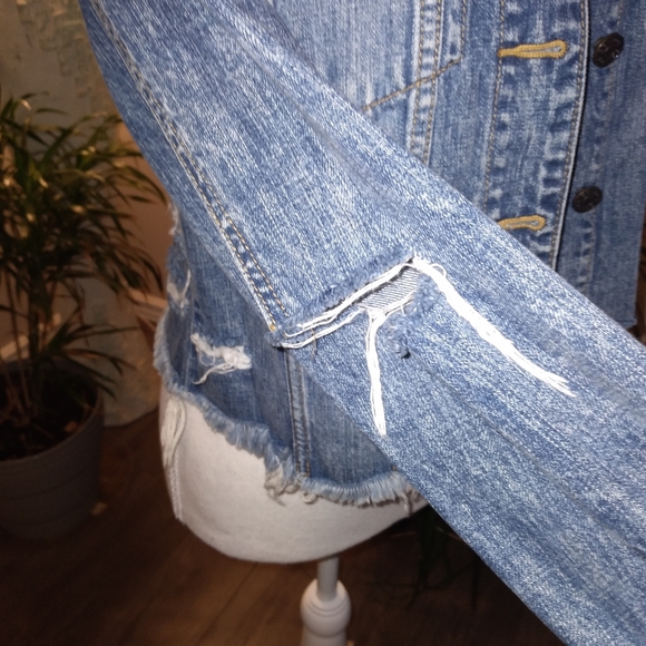 Cello Distressed Jean Jacket - Picture 6 of 8